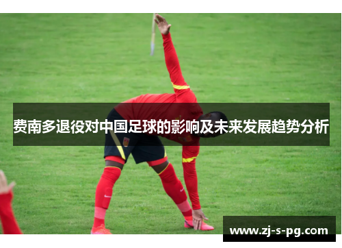 费南多退役对中国足球的影响及未来发展趋势分析 费南多退役对中国足球的影响及未来发展趋势分析