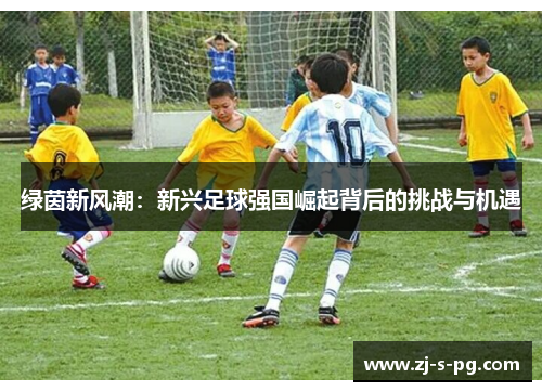 绿茵新风潮:新兴足球强国崛起背后的挑战与机遇 绿茵新风潮:新兴足球强国崛起背后的挑战与机遇