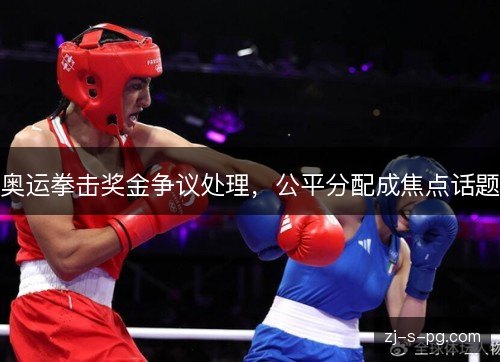 奥运拳击奖金争议处理，公平分配成焦点话题